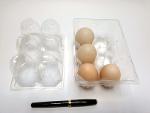6 xl eggs tray