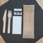 A set of 160 mm fork and 160 mm knife and 240 mm paper napki