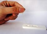 sow test pregnancy test paper by urine,milk and blood