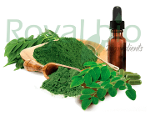 Organic Moringa Vegetable Oil
