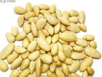 BLANCHED ALMONDS 25 KG RAW