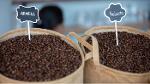 Robusta Roasted Coffee Beans