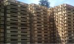 Epal-Euro wood Pallets