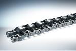 Outboard Roller Chain