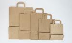 Paper carrier bags with flat or twisted handles