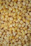 IQF Sweet corn (grain)