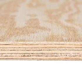 Coniferous plywood