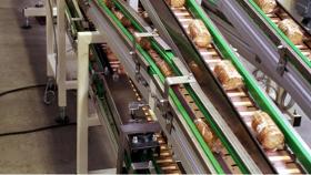 Hinged belt conveyor aluminium compact system