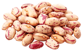 Speckled kidney beans polished