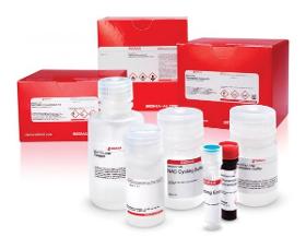 Blood glucose / cholesterol rapid test kit