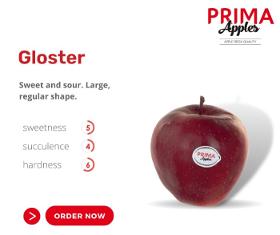 Gloster apples