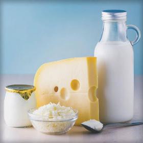 Dairy products wholesaler - a wide selection of dairy products