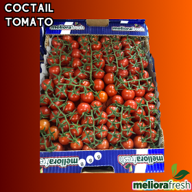 Coctail Tomatoes