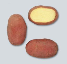 Potatoes - Red skin