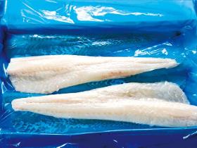 frozen Cod loins and fillets