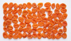 Factory Dried Confectionary Apricot
