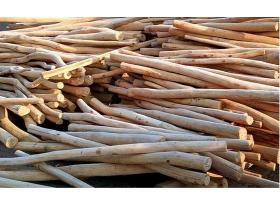 Robinia round poles – sap-wood free