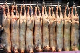 100% Halal Fresh/Frozen Sheep/Goat/Lamb Meat/Carcass