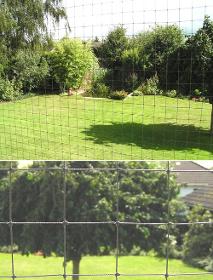 Cat protection net | polyester (PES) | width 1m