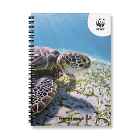 Erasable Notebook: WWF x MOYU | Ring Binder A5 Turtle