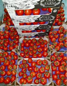 RED VINE TOMATOES