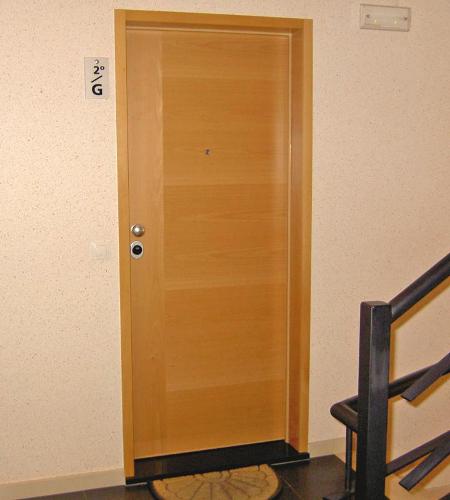 Apartment Security Fire door