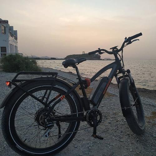 electric bike naxos
