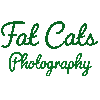 FAT CATS PHOTOGRAPHY