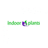 INDOOR PLANTS LTD