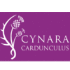CYNARA CARDUNCULUS A.I.E