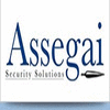 ASSEGAI SECURITY SOLUTIONS