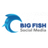 BIG FISH SOCIAL MEDIA