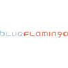 BLUE FLAMINGO SOLUTIONS LTD