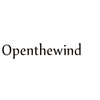 OPENTHEWIND HAIR REPLACEMENT SYSTEMS