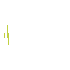 THE DELIVERY GROUP