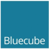 BLUECUBE TECHNOLOGY SOLUTIONS LTD - OXFORD