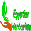 EGYPTIAN HERBARIUM