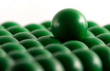Industrial Plastic Balls 