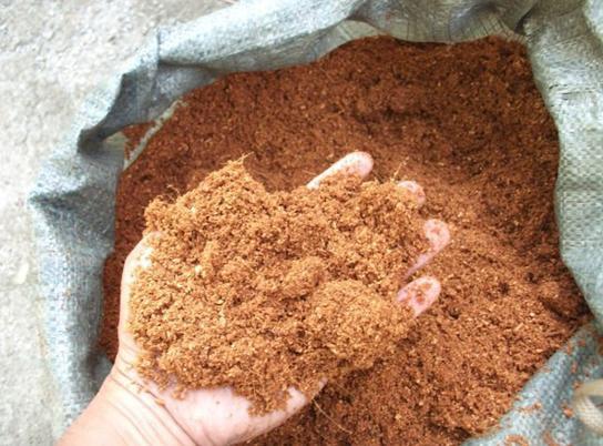 Coconut Coir Substrate (COCO PEAT)
