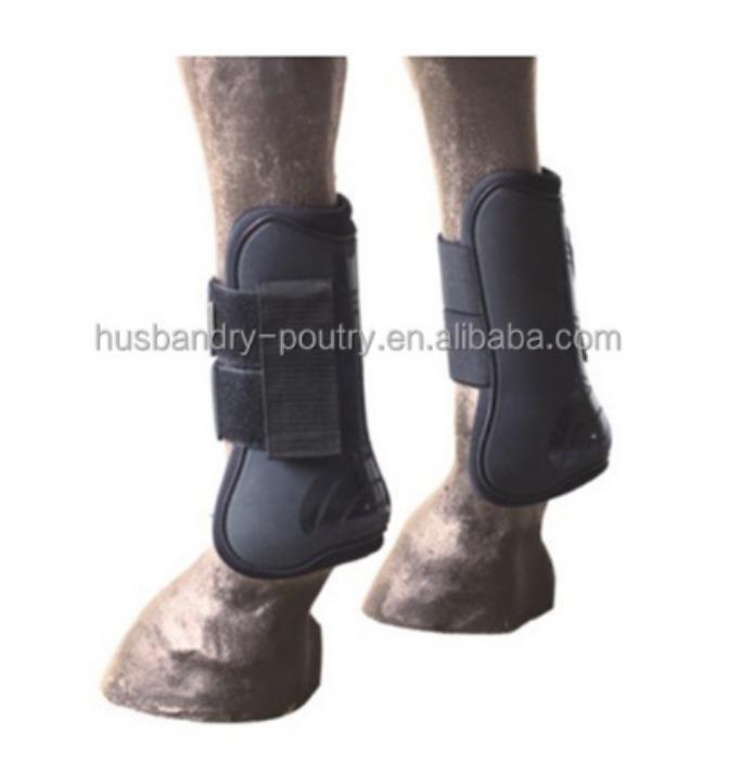 Horse Tendon boot Equestrian saddlery