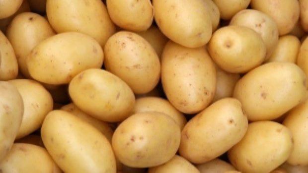 New Fresh Potatoes