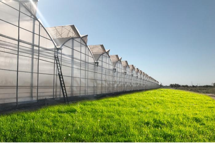 Turnkey Greenhouse Projects 