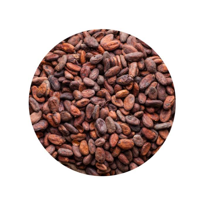 Cacao Beans Raw Organic