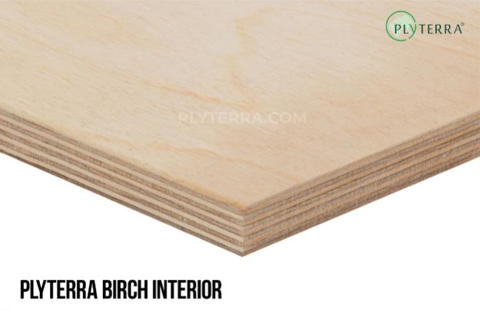 Plyterra Birch Interior