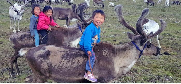 Mongolia Reindeer People Adventure