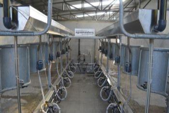 Herringbone  milking system