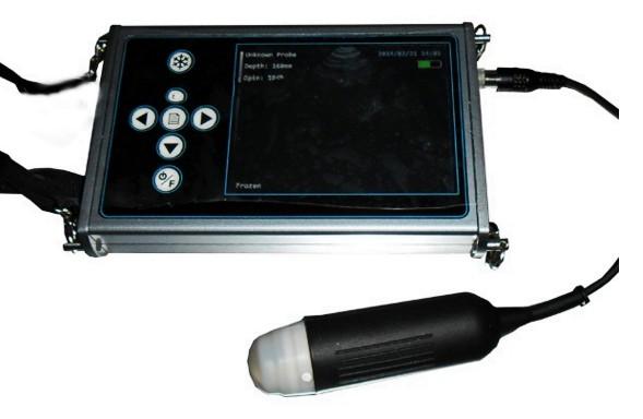 portable veterinary ultrasound scanner for pig/sheep/goat