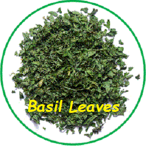 Basil Leaves, (Ocimum bsilicum , L.)