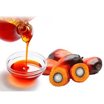 100% Refined & Crude Palm Oil
