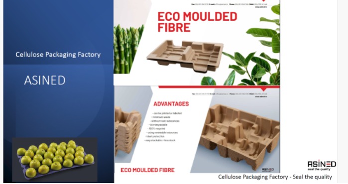 Investors for Cellulose Packaging Factory